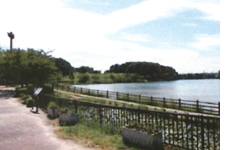 新海池公園