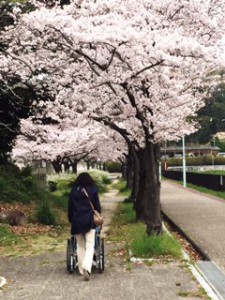 住宅型有料老人ホームとまり樹鹿山 お花見